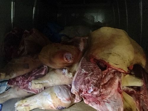 Фото Управления Россельхознадзора по Хакасии и Туве